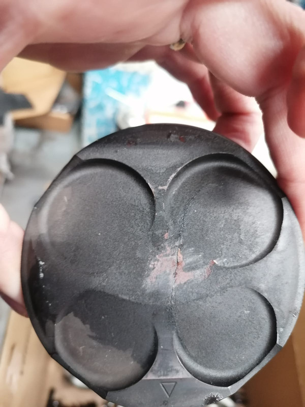 D8F74856-9F67-4528-BE21-DC59053C843F