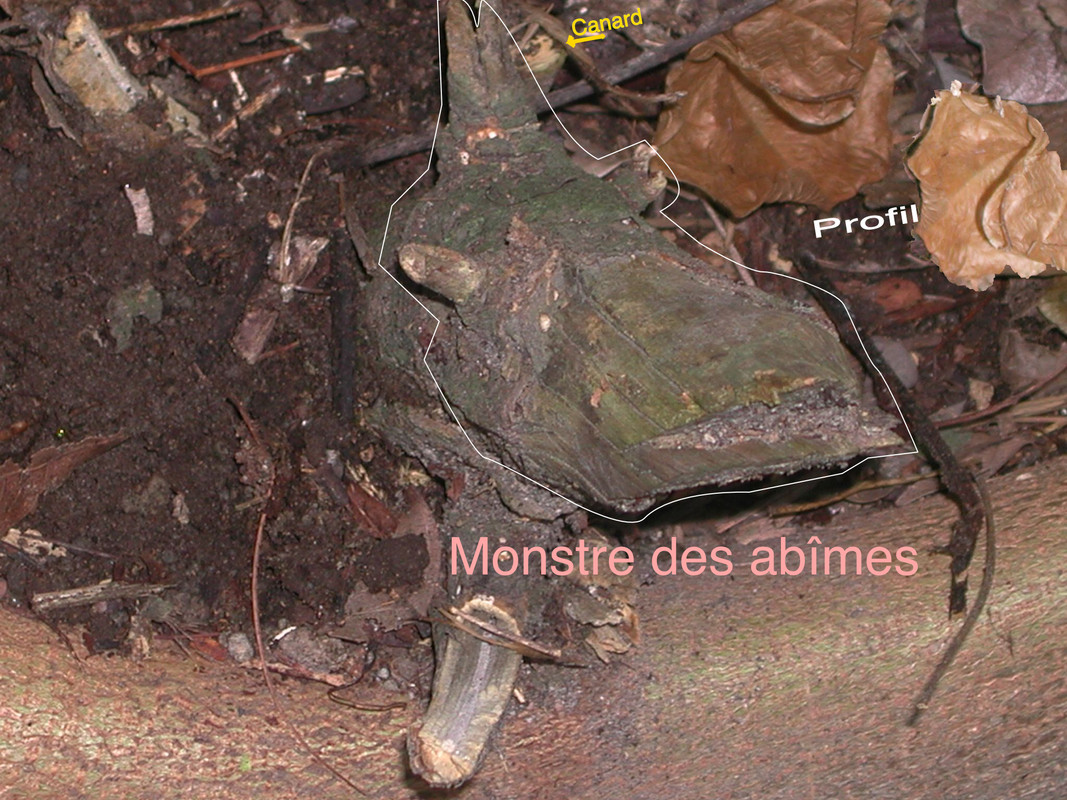 Osons-imaginer  3575