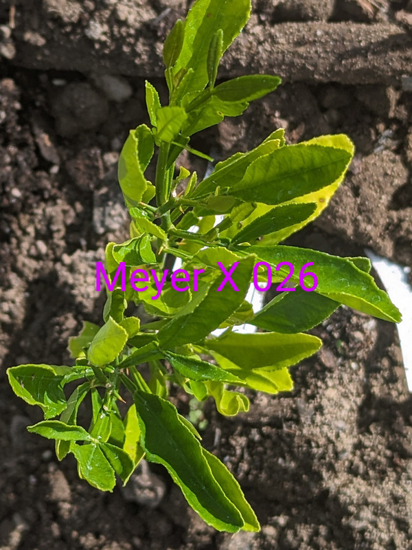 PXL_20240503_133016121~2