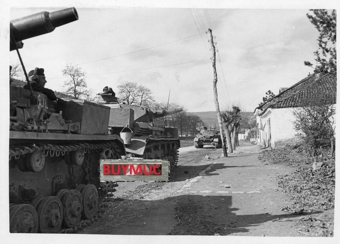 LARGE FOTO PANZER TANK SÜD SERBIEN 1941