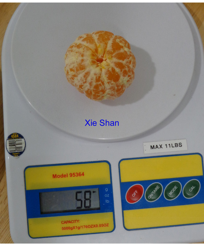 Xie_Shan-P3(9-23-21)