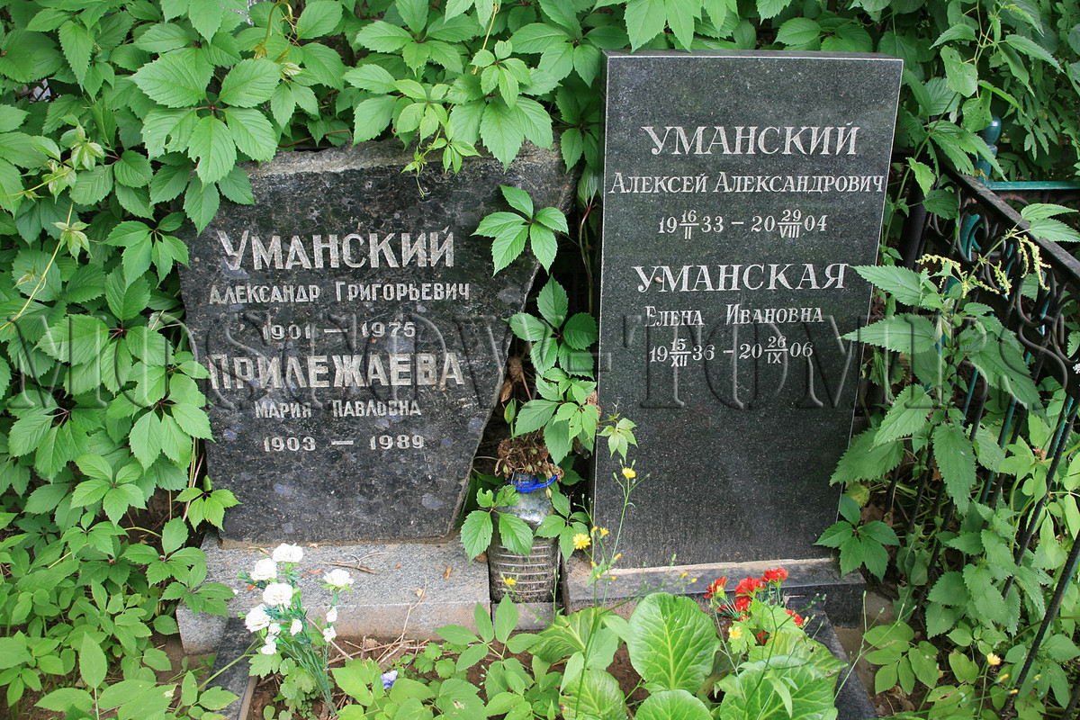 prilezhaeva-mp