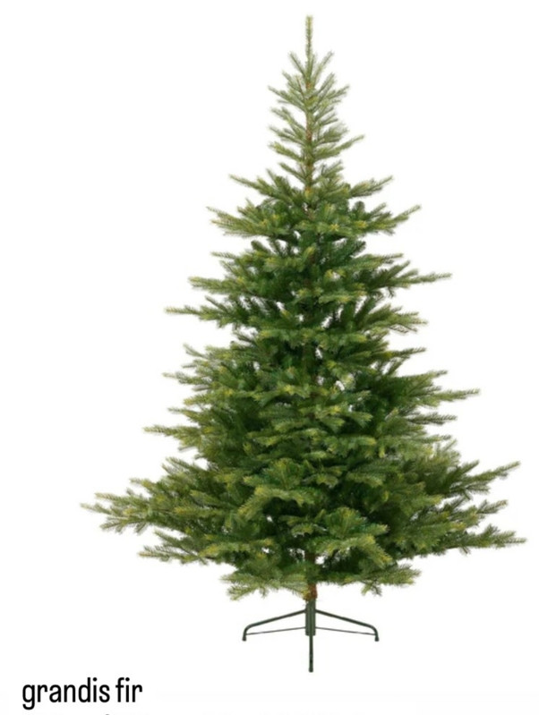 Screenshot 2025 11 18 11 31 43 242 edit com instagram android