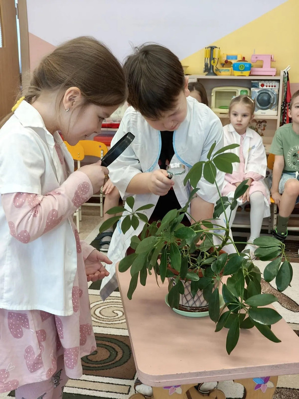 IMG-20260204-223109-451