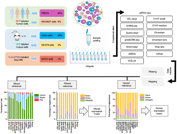 13种scRNA-seq技术基准测评报告-2.png