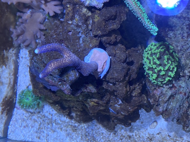 F0110718-541B-4BE6-8035-57DE9B949124