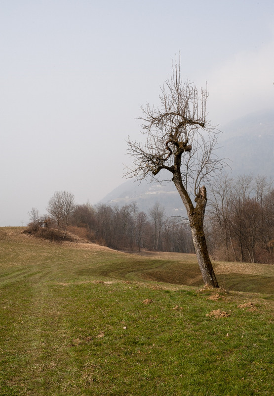 Nikon D700_15mar2022_04 (888x1280)