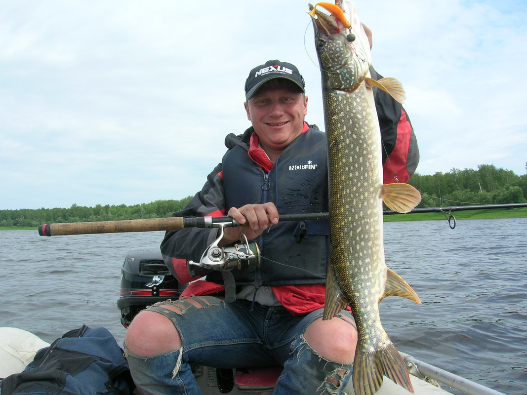 Золотая рыбка