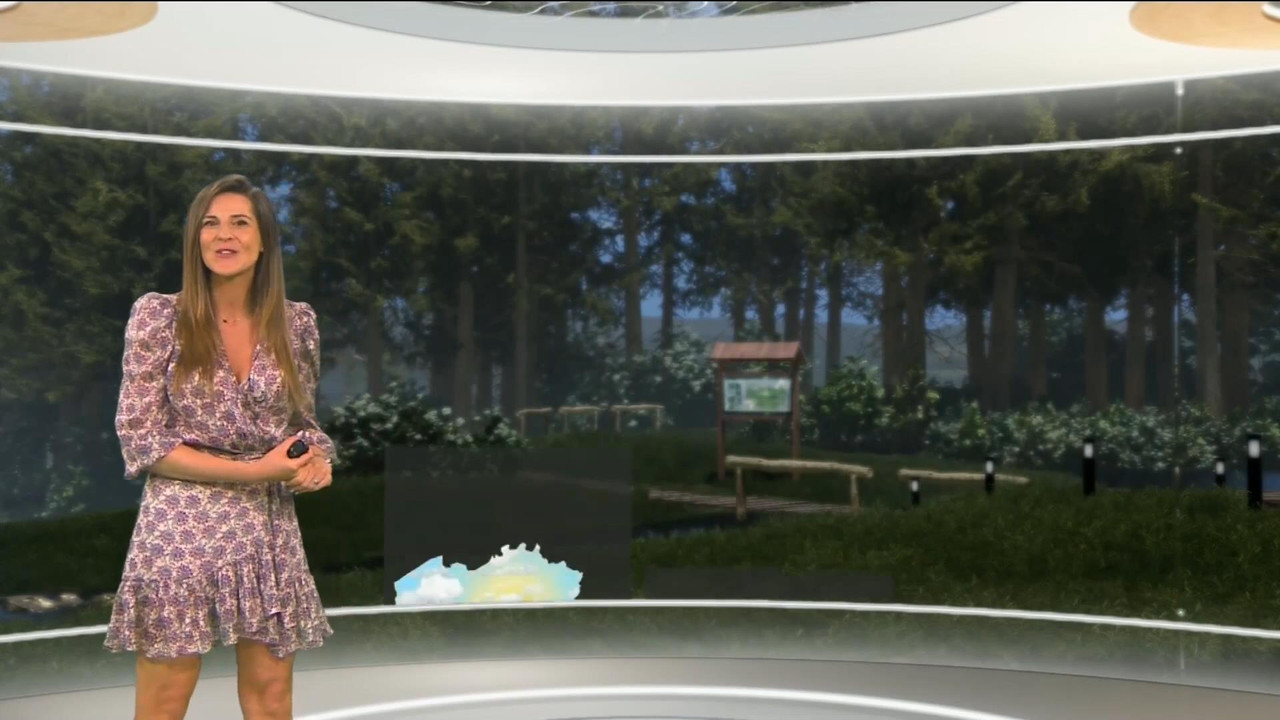 Daniela Prepeliuc 110821.mp4_snapshot_02.06_[2021.08.11_16.13.50]