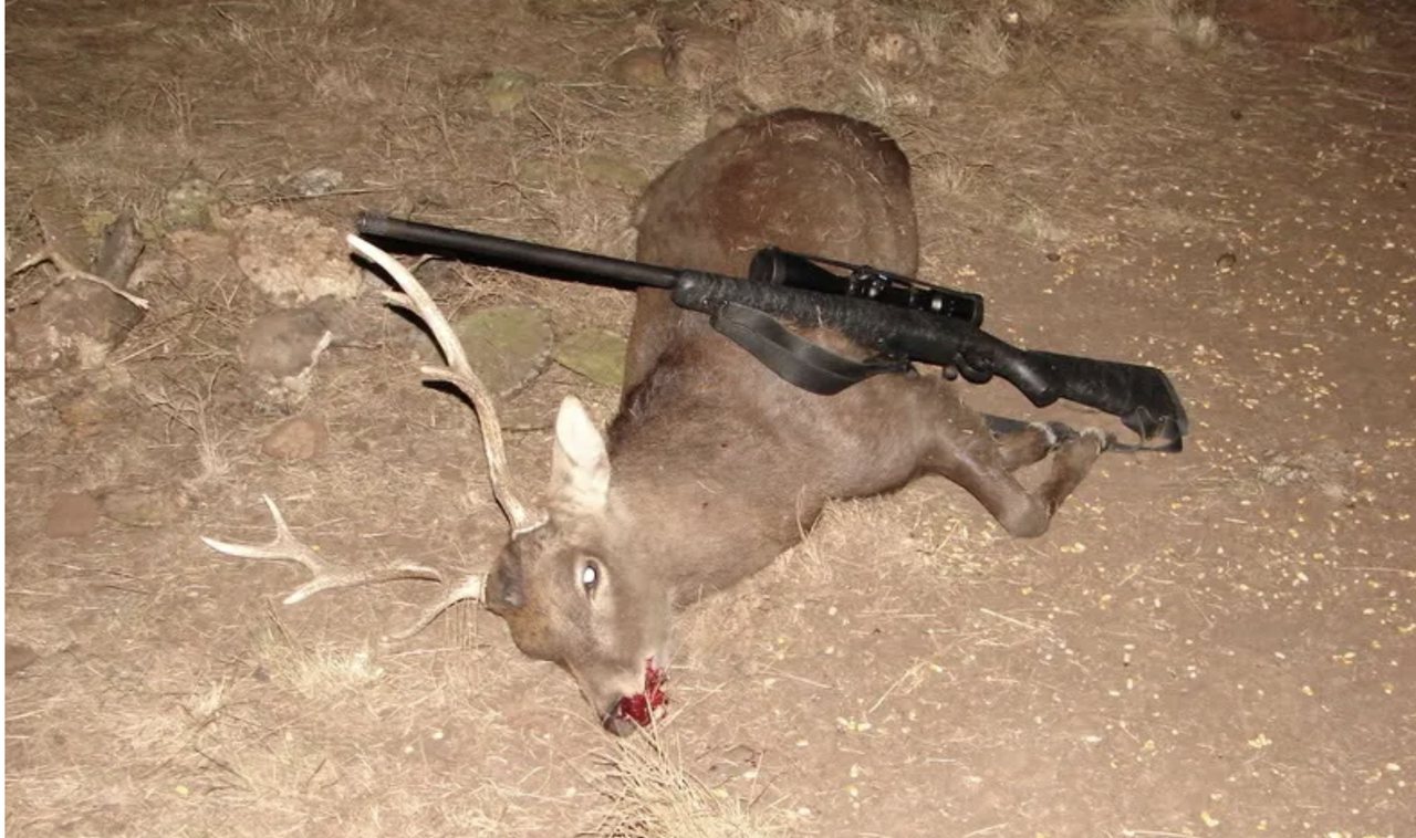 Screen Shot 2026 03 24 at 11 11 42 PM