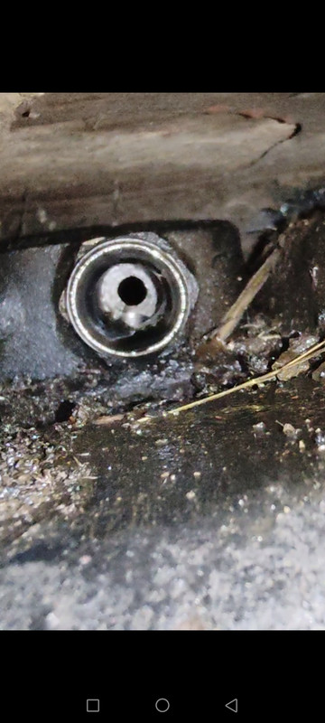 Screenshot_20250419_174343_com_hihonor_photos_SlotAlbumActivity