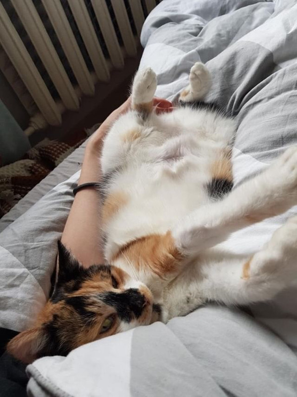 9B5D31EA-CF73-4246-8D96-D2B0C54AFE05