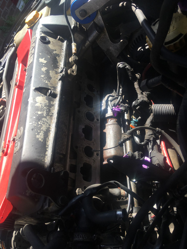 B53B626E-8E43-4F45-8CB8-76F72F6C4D70