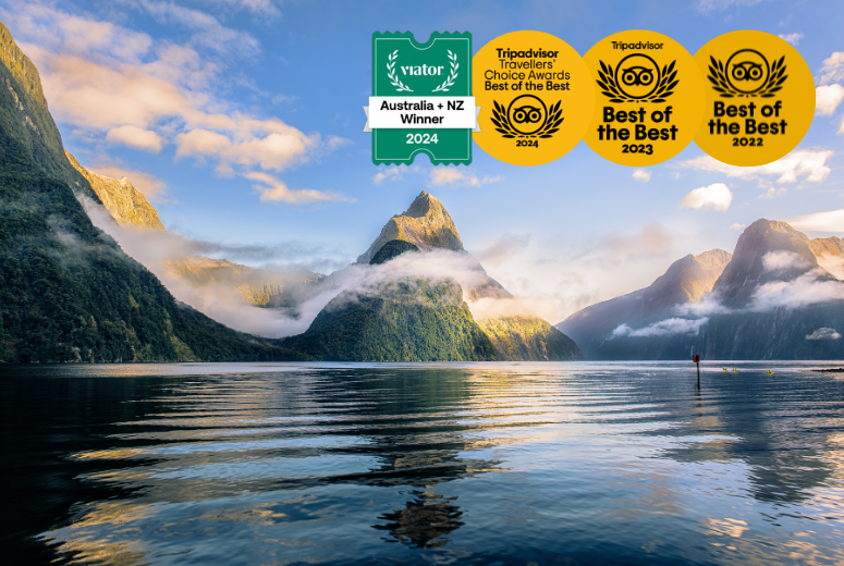 Queenstown to Te Anau via Milford Sound Premium Small Group Tour, Cruise & Picnic Lunch | Shaara Deals