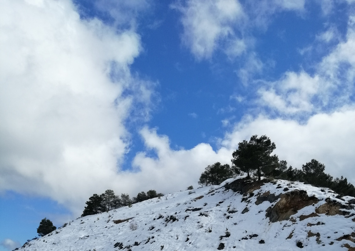 IMG_20200126_122443 ew