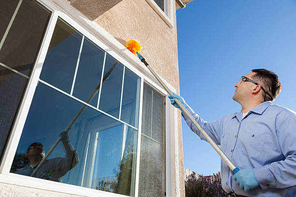 Pest Control Service 1