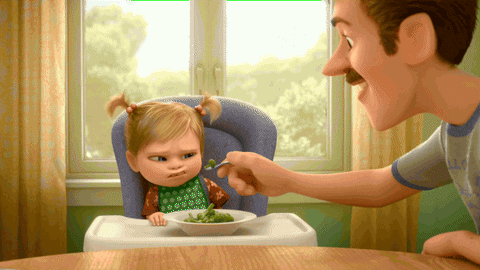 https://i.postimg.cc/Gp379yfh/giphy.gif