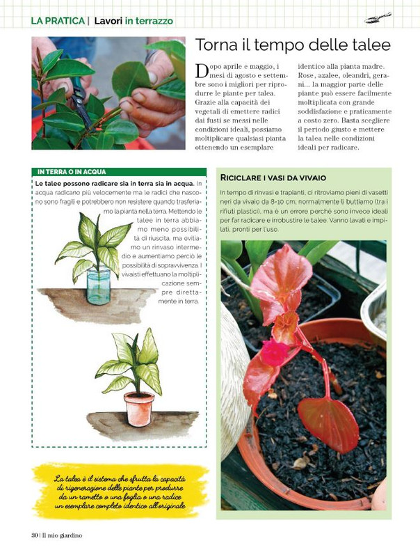 Il Mio Giar Ago-Set 2023 (3)