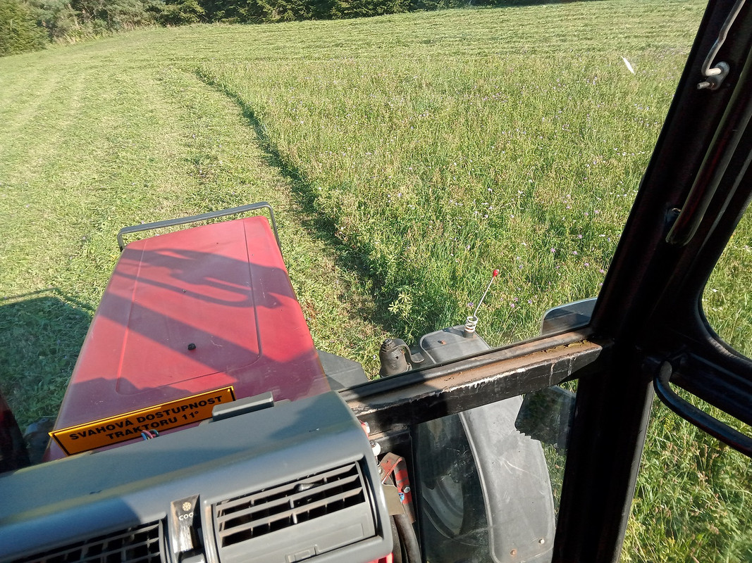 IMG_20240811_174047_MP