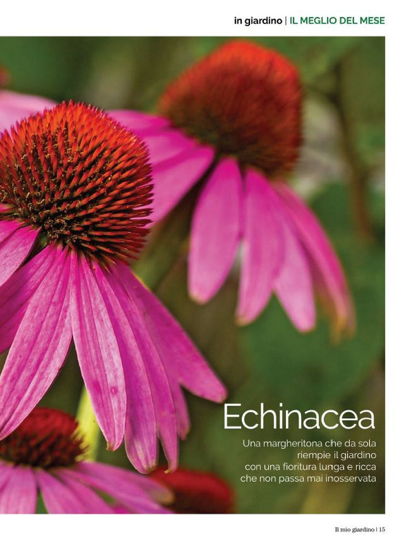 Il Mio Giar Set-Ott 2021 (7)