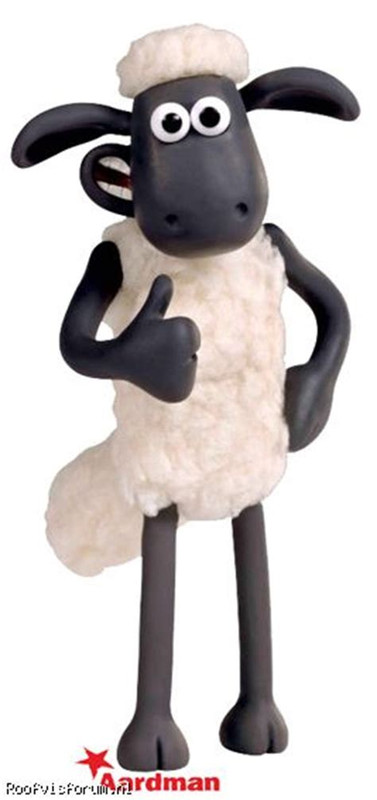 Shaun-dikkeduim