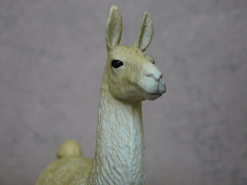 Mojö 2019 Llama and Cria- a walkaround by A.R.Garcia P1090613ed