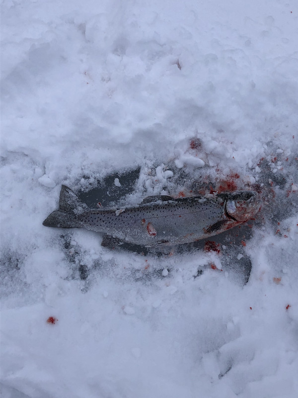 2AC3A22F-C142-4138-9E3A-EBDF53AB6A02