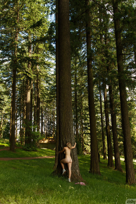 full_035_1517402137310693