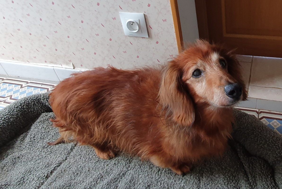 [Image: 20230724-120310.jpg]