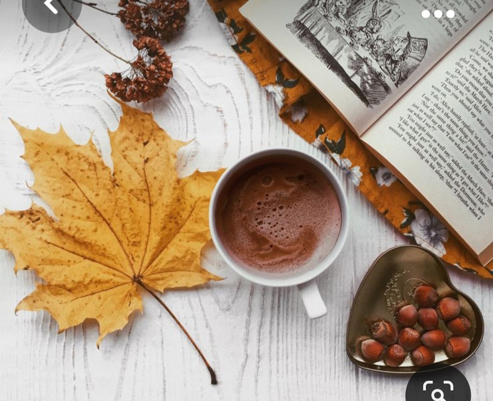 Screenshot_20231008_222933_Pinterest