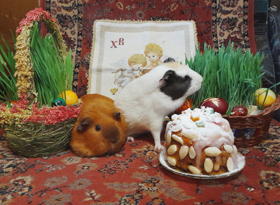 хор. 20220423_190343