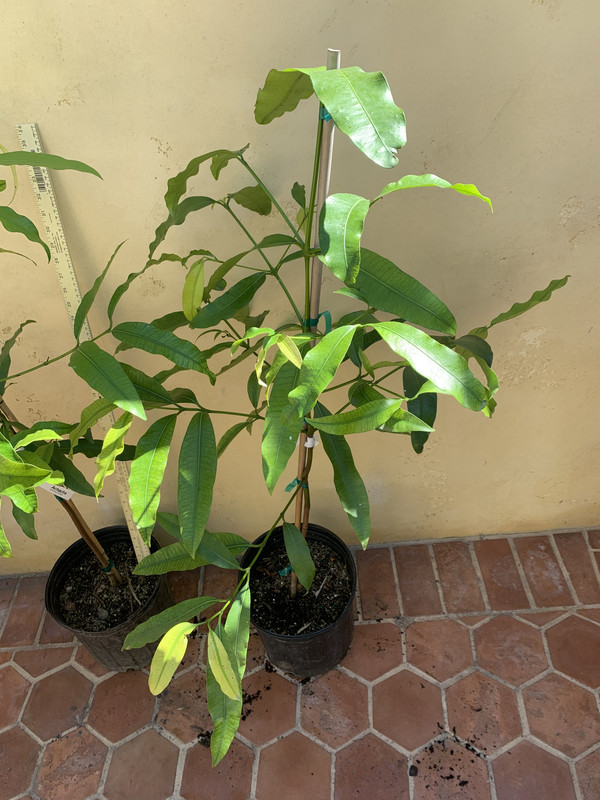 0CE8E636-A5E4-410A-9E38-231BFD01D6BB