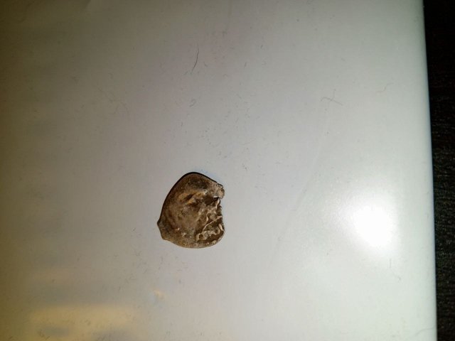 photo_2024-10-27_19-11-44 (2)