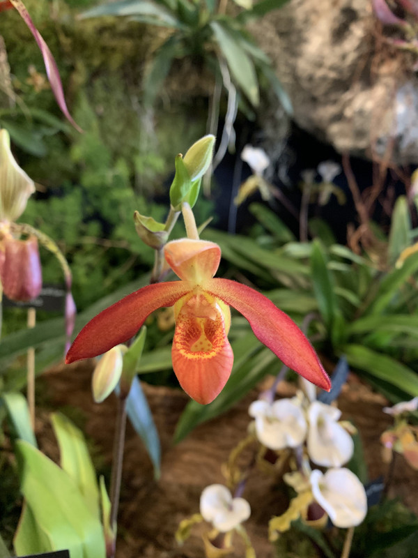 40F7F742-BD1D-4C17-ACD8-5198EFAE22D7