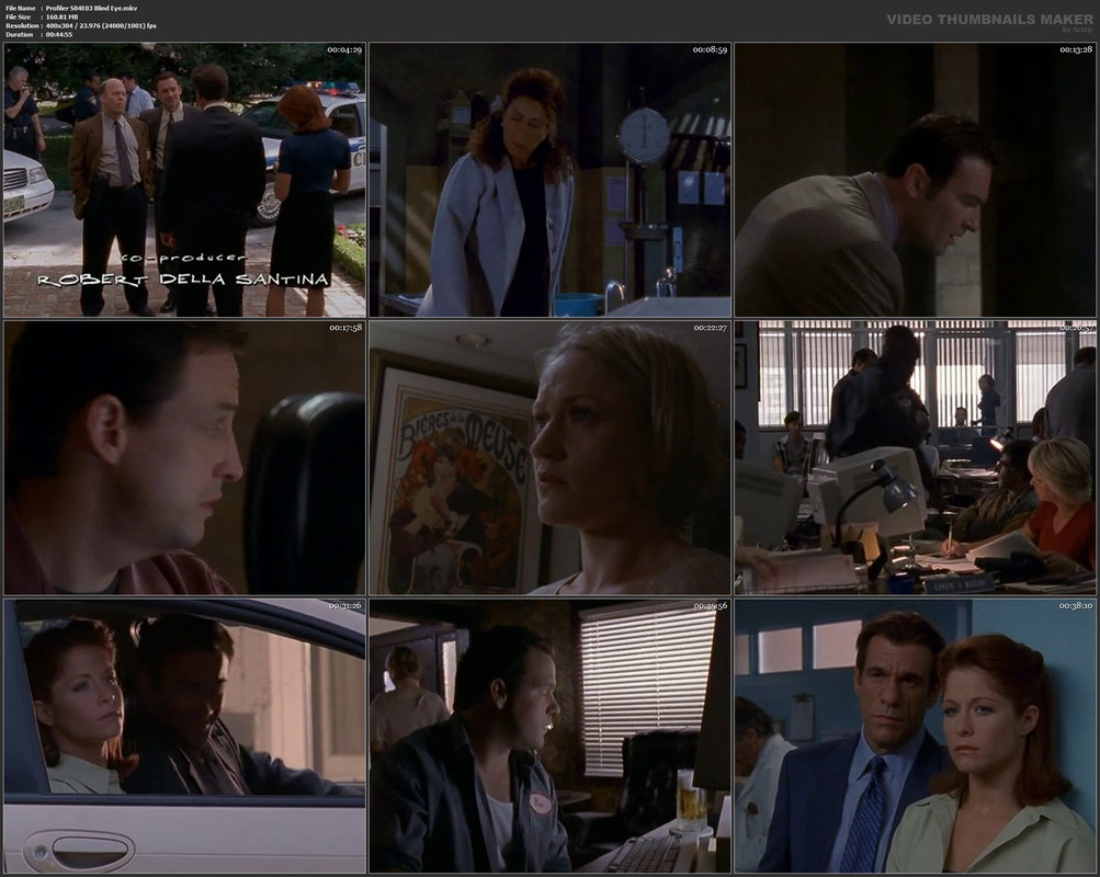 Profiler S04E03 Blind Eye.mkv