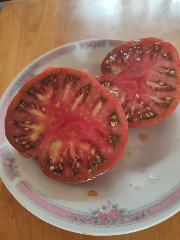 [Слика: IMG-20220813-104329.jpg]