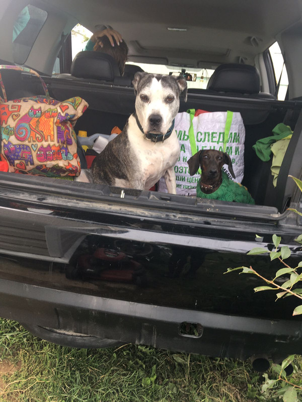 DEF7CCC2-12B7-4C76-AEBC-5F5C63C32811