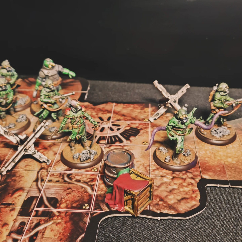 WhatsApp Image 2024-11-19 at 09.23.45(1)