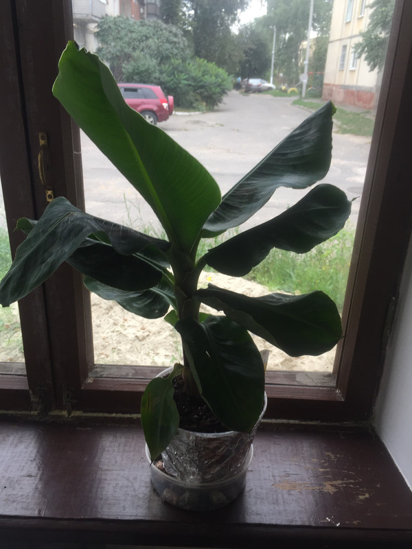 65A0B499-221A-480A-AAAF-1572A9CF464F