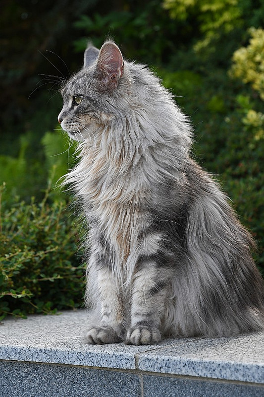 [Bild: DSC-1401-1.jpg]