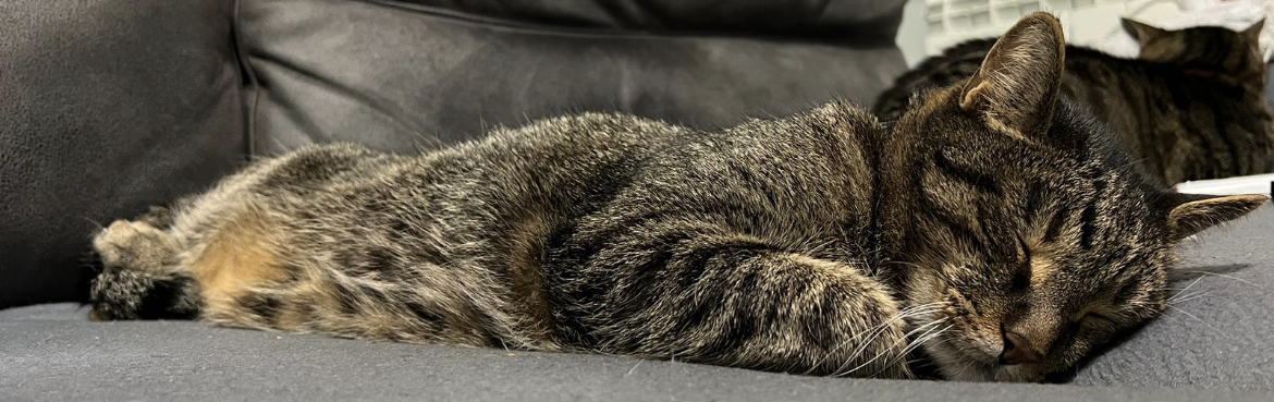 3078A3B9-7F3A-4800-9BD5-DF36A54E0E1A