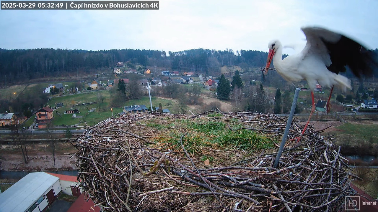 Živě z čapího komína firmy KARA v Bohuslavicích u Trutnova 3-17-9 screenshot