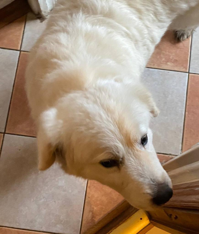 EBFBBE61-407A-45A4-B1E4-D74CD0CE3581