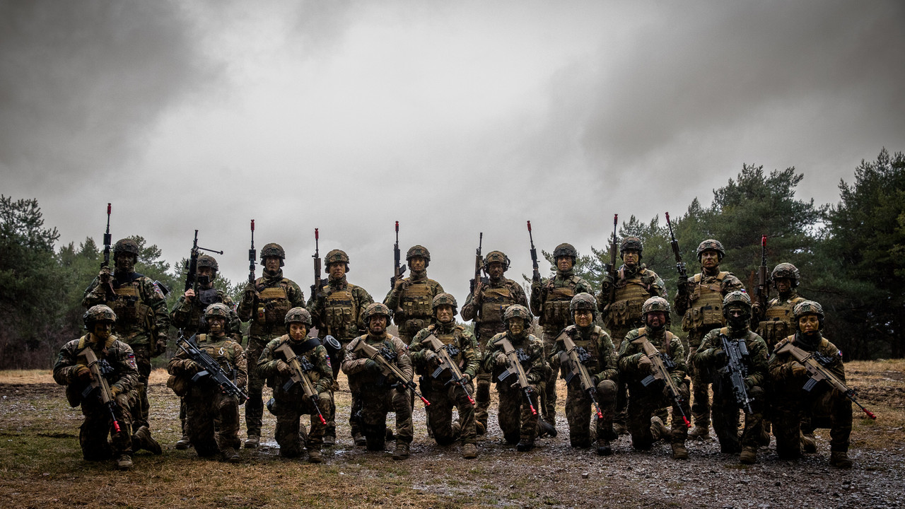 flf oddelki 5d 20260219 1845 fstrgar