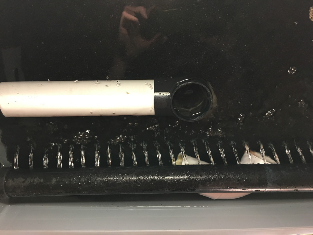 89B0F137-FC94-46BA-AAD9-264E759640C9