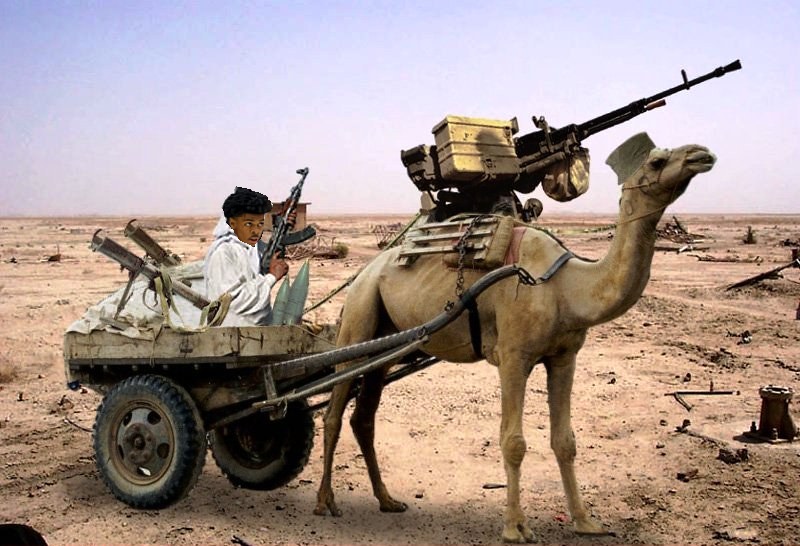 camelgun.jpg