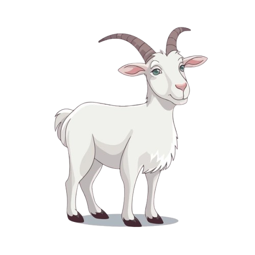 Goat