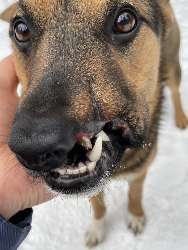 D416A208-4184-4D82-AE56-0EB5A2238011