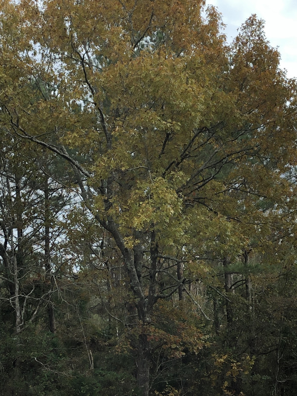 E235AD43-B5EA-4671-98B5-925D3888F472