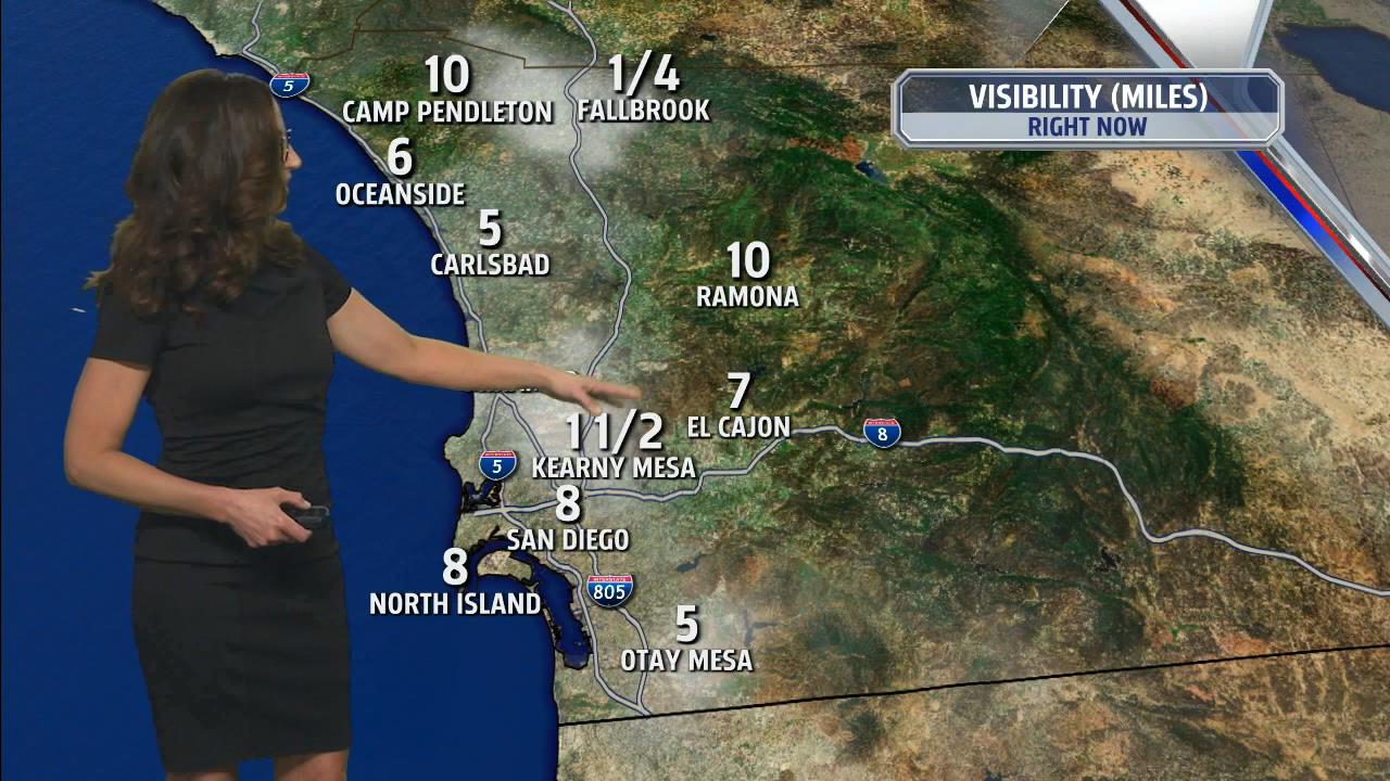 06.02 - 13.00.00 - FOX 5 Morning News at 5 00am  ᴺᵉʷ. Local news, wea....ts_snapshot_20.01_[2021.06.